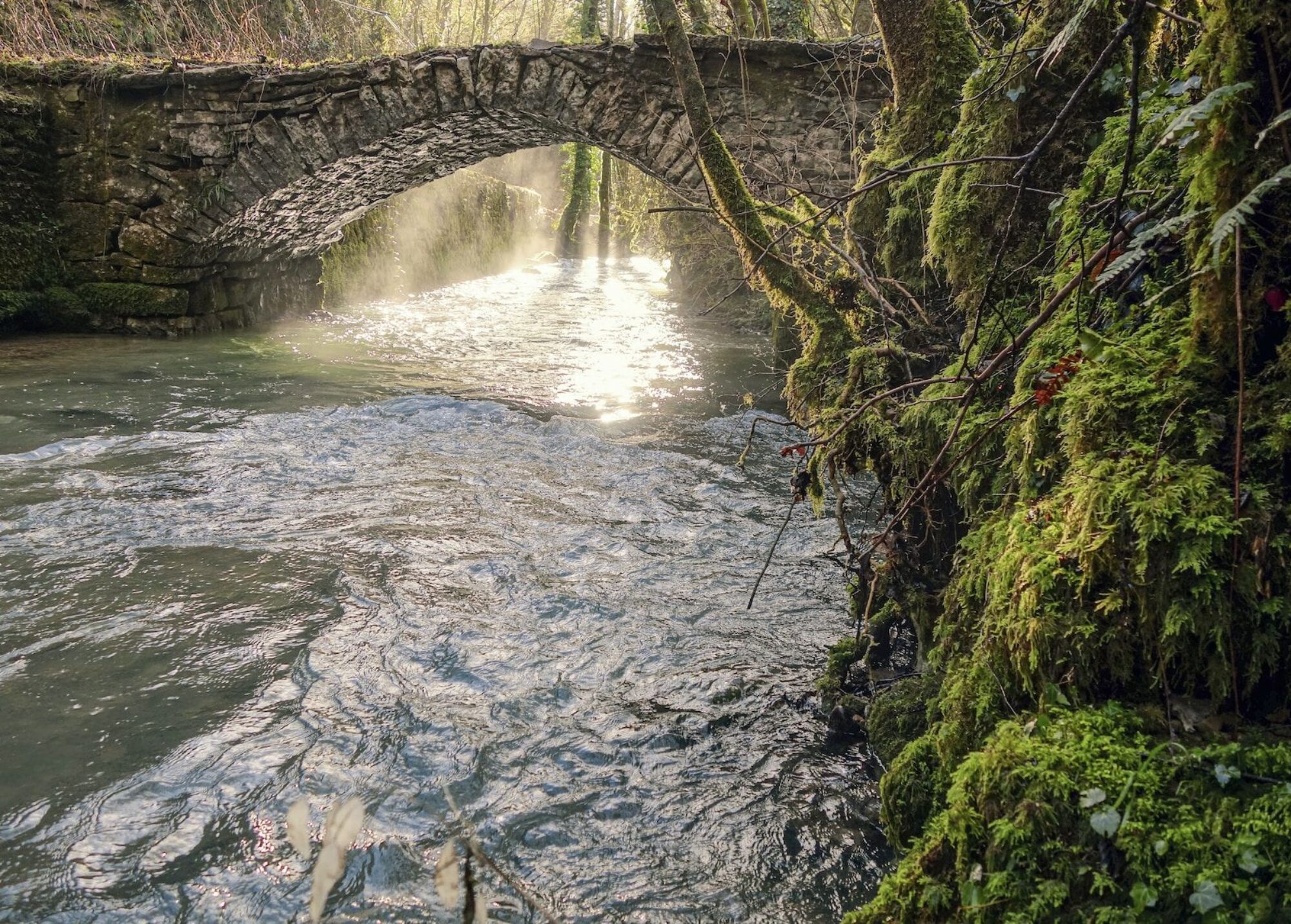 a stone bridge over a river in a forest